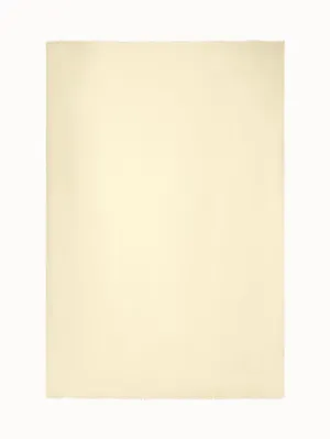 Cashmere Silk Scarf with Fringe