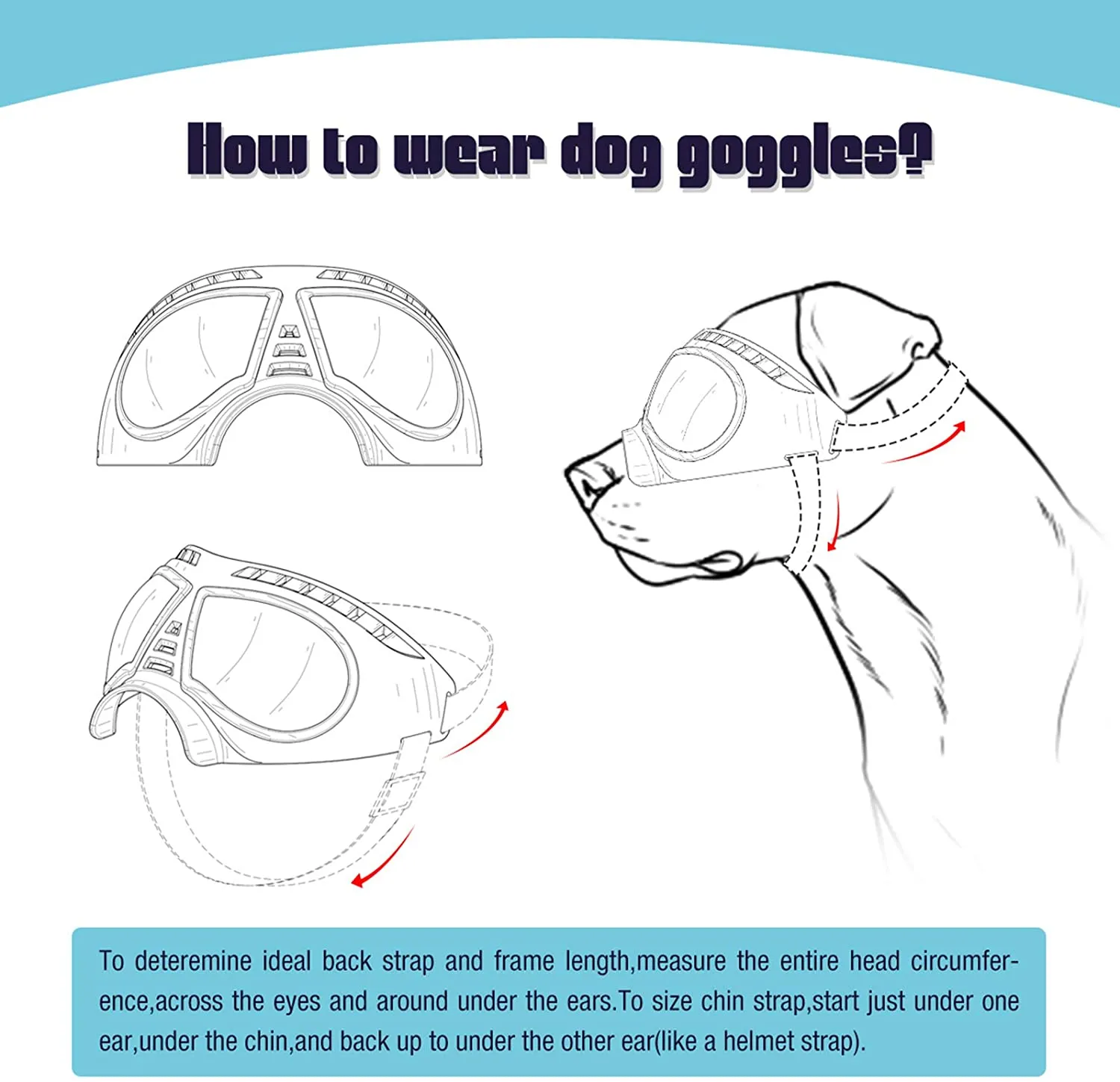 Dog Goggle - Style B