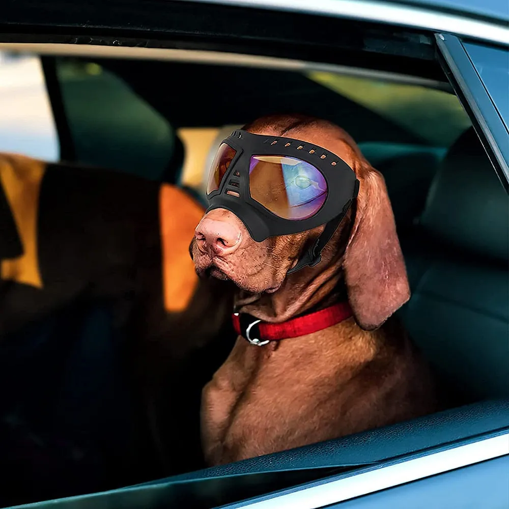 Dog Goggle - Style B