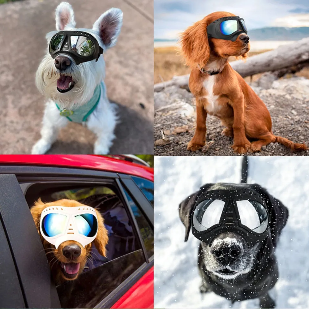 Dog Goggle - Style B