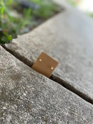 Gold Studs