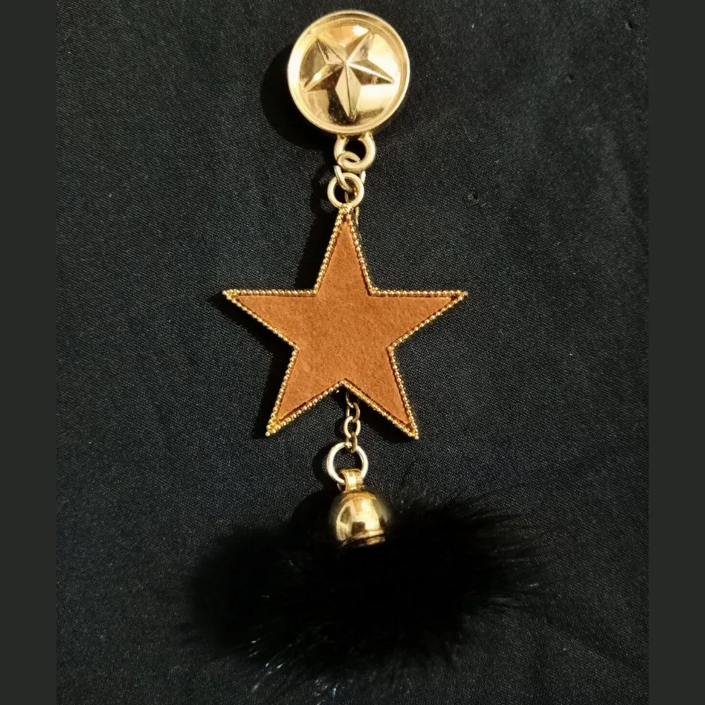 Golden Star with Feather Designer Brooch