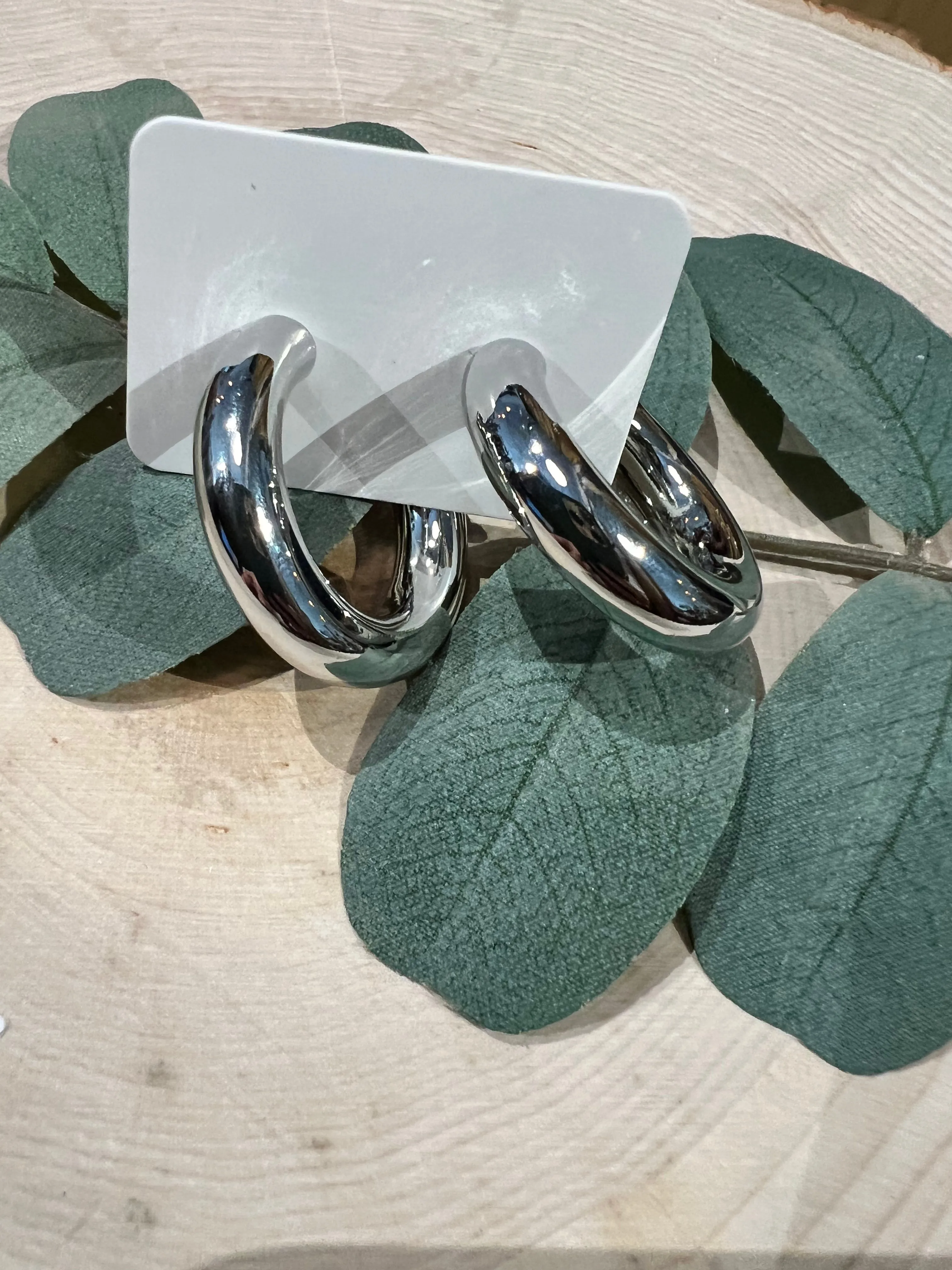 Silver Hoopy Hoops Earrings